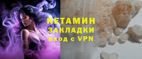 шишки Аркадак