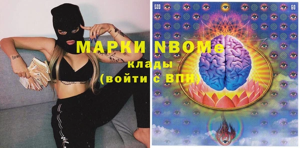 шишки Аркадак