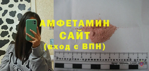 шишки Аркадак